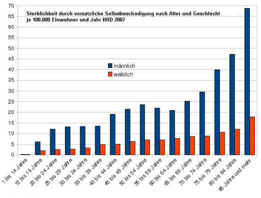 Selbsttötungen 2007